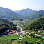문경 오미자청 원액 엑기스 1L 2병 비정제원당 : 자연미소