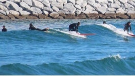 [서핑강습] 양양서핑강습 기초부터 레벨업까지 어린이/성인 소수서핑강습 (수트보드 종일렌탈포함) : 남애서프클럽 NSC187