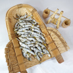 [통영멸치] 국내산(통영) 육수용 고노리 (곤어리) 1.5kg : 통영참멸치주식회사