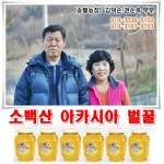 송월농장 [소백산 벌꿀] 햣 아카시아 벌꿀 2.4Kg 6병 : 은풍골송월농장