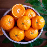 제주에서 자란 마지막 봄귤, 카라향 2kg 5kg 10kg : 상대과원x우리농장