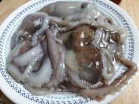 목포 뻘낙지 낚지 산낙지 대사이즈 5미 살아있는낙지 산소포장 : 몽땅식품