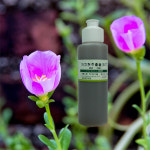마치현 추출물  50ml 비누 화장품 만들기 재료 : 아로마케이