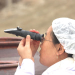충청도 재래식 전통발효 콩 비지장 220g 10팩 : 선한농부마을