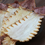 황토마을 AAA급 반건조 한치 건한치 (L) 약 20미 : 황토식품