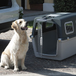 스테판 비행기 자동차 기차 대형견 켄넬 이동장 케이지 크레이트 (급수 급식기 포함) : 코코도도