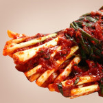 HACCP 20년의 노하우 국내산 가정식 별미김치 정담은 파김치 햇김치 3kg : 두남자식탁