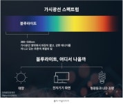 가벼운 뿔테  블루라이트 차단 청광 차단 안경 자외선 청색광 전자파 시력보호 렌즈 : 안경 만드는 언니