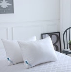 디자인 조셉 듀라라이프 베개솜 2P : 비에프트립