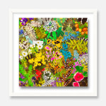 환타지아 (Fantasia), 정우범 : 아트앤 에디션