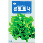롤로로사 3000립 쌈채소씨앗 : 썬썬마켓