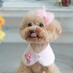 강아지스카프 토토앤로이 로망스 케이프 : 코코마펫 애견편집샵