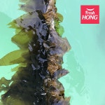 완도 청산도 명품 미역, 자른미역, 실미역, 프리미엄급 저염 건미역 햇미역 생산자 직송 : 프레시홍