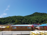 1박2일 서핑집중캠프 강습1회+숙박+렌탈 강릉서핑 강습 입문 체험 금진해수욕장 브라보서프 : 브라보서프