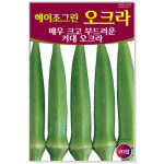 오크라 20립 채소씨앗 : 썬썬마켓