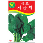 섬초시금치 20g 채소씨앗 : 썬썬마켓