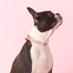 Heart Pearl Collar_Rose Pink : 메종드미우