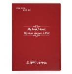 라이나금융서비스 - 보험 증권 화일 계약서 파일 / 뉴-모던빨강 고주파S : 화일이야기