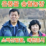 [은풍골 송월농장] 국내산 100% 도토리화분 1kg/무료배송 : 은풍골송월농장