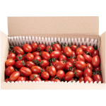 대추방울토마토 2kg : 마켓림