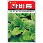 참비름나물씨앗 1000립 민속씨앗 : 썬썬마켓