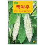 백여주씨앗 5립 채소씨앗 : 썬썬마켓