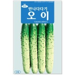 만나다다기 오이 15립 오이씨앗 : 썬썬마켓