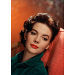 DBM-233 나탈리 우드 Natalie Wood 영화포스터 A4 셀럽 배우 : 조이포스터