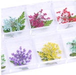 꽃네일 진짜 드라이드 플라워 글리터네일 아트 dried flower : 대박네일