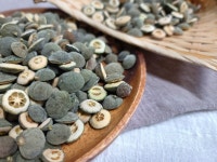 국내산 지실 600g : 동광한방몰