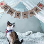 [멍냥파티] 크라프트 깃발모양 주문제작 생일 가랜드 - 기념일 캠핑 파티용품 자유문구 : 멍냥시대