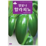 열불나 할라피뇨 50립 멕시코 고추씨앗 : 썬썬마켓