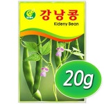 강낭콩씨앗 20g 콩씨앗 : 썬썬마켓