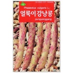 얼룩이강낭콩 70립 콩씨앗 : 썬썬마켓