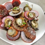 통영 세척 홍가리비1kg 비단 순살 조개찜구이 파스타용 : 주주푸드마켓