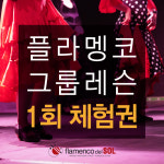 플라멩코 그룹레슨 1회 체험권_안무클래스 : 플라멩코 델 솔