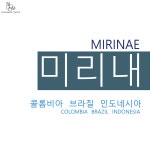 온새미로 시그니처 블렌드_미리내 : 온새미로 커피