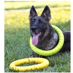 강아지터그링 장난감 훈련용품 애완용품 : 나들이 마트