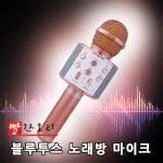 빨간오리 블루투스 노래방 마이크 : 다나통상
