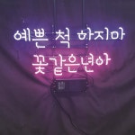 예쁜척하지마 아트네온 주점네온사인 주문제작 개업선물 간판 : 파르미오 아트네온