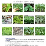 고구마심는기계 도구 고추모종기 참깨 콩 참깨파종기 : 잡화투데이