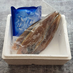 수짱마켓 | 맛있는 농수산 국산 반건조박대 1마리 군산 서천 황금 박대 서대 생선구이 말린생선 : 맛있는 농수산