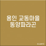 용인 마북동 교동마을 동양파라곤 H13 헤파탈취 복합필터 : 클라떼