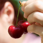 항공직송 천하일품 싱그러운 캘리포니아 생 체리 : 천하일품감귤농장