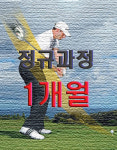 역삼동 골프레슨 무제한 연습 정규과정 1개월 : 역삼동골프레슨-드라이버장타