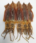 배오징어5마리(650g) : 푸른건어물