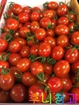 후니청과 신선한[특품] 탱글탱글 대추방울 토마토[국내산] : 후니청과
