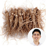 금산인삼 대명이네 인삼수삼 오쿠홍삼용 원삼 소 12~15뿌리내외 750g : 대명이네인삼농장