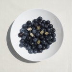 생블루베리 국산 블루베리 생과 국내산 제주 고창 담양 : 언니의입맛