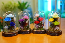 프리저브드플라워 러블리 무드등 : 프리저브드플라워 읻다